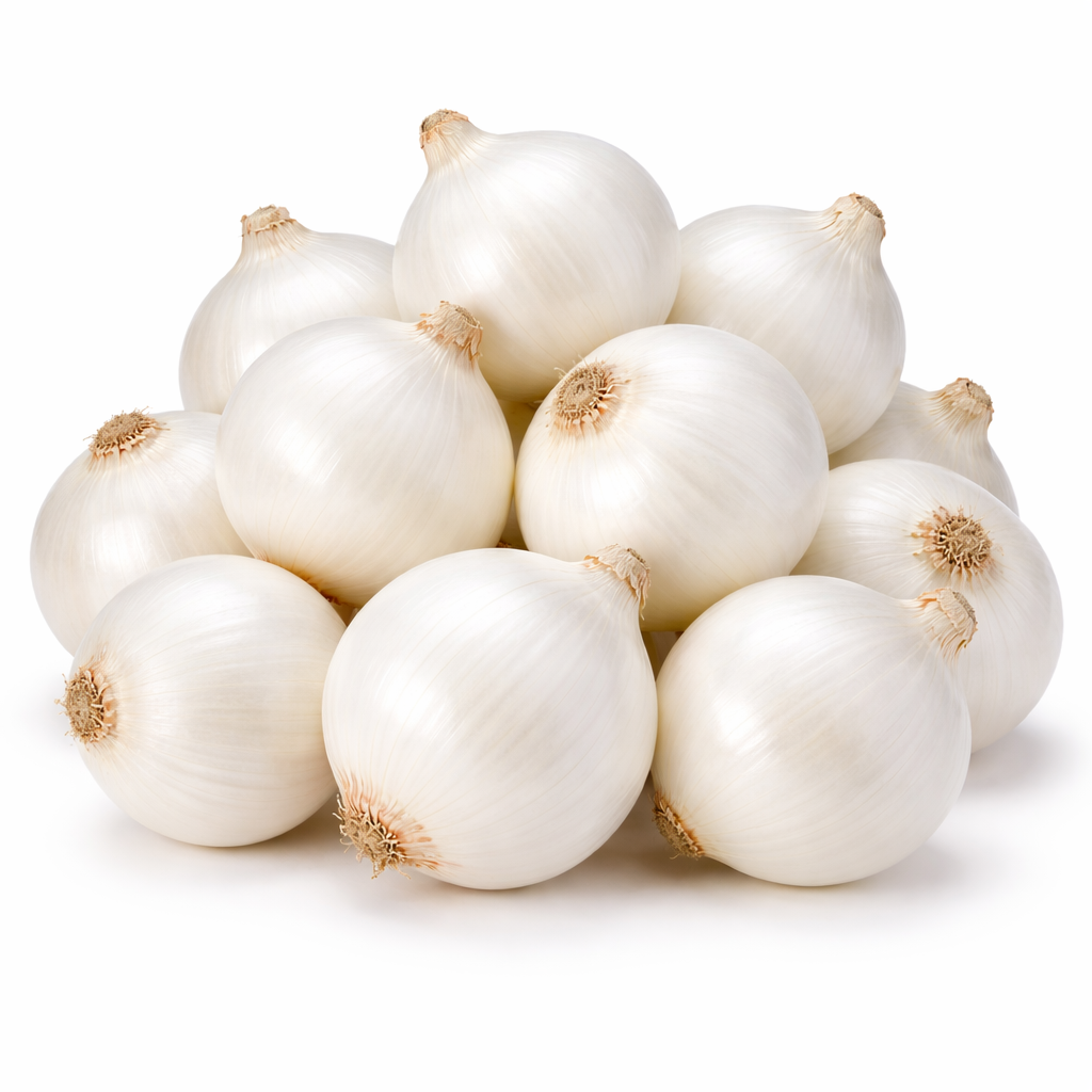 white onion